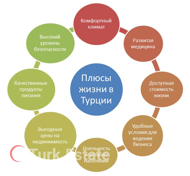 плюсы и минусы