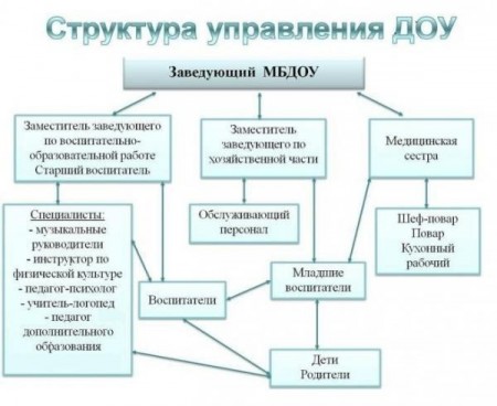 структура управления ДОУ структура управления ДОУ